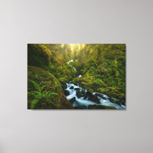 Waterfalls Olympic National Park, Washington Canvas Print