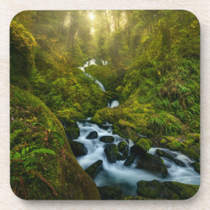Waterfalls   Olympic National Park, Washington Coaster