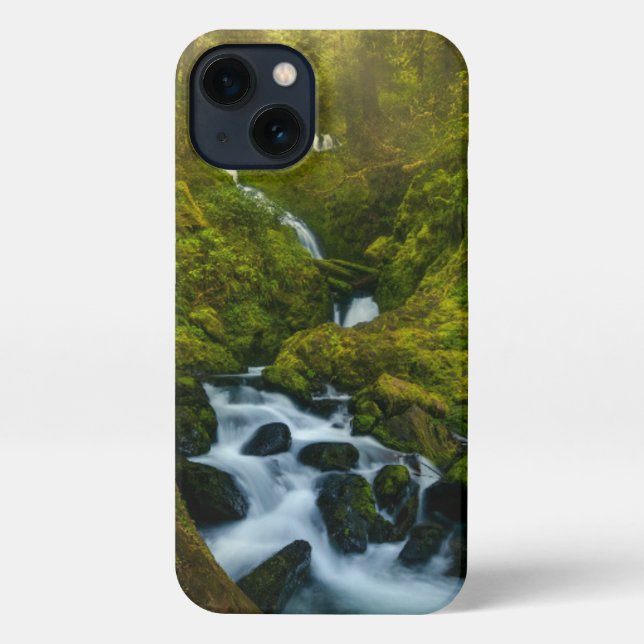 Waterfalls | Olympic National Park, Washington iPhone Case (Back)