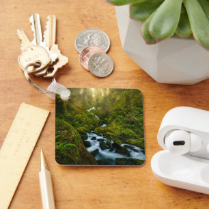 Waterfalls Olympic National Park, Washington Keychain