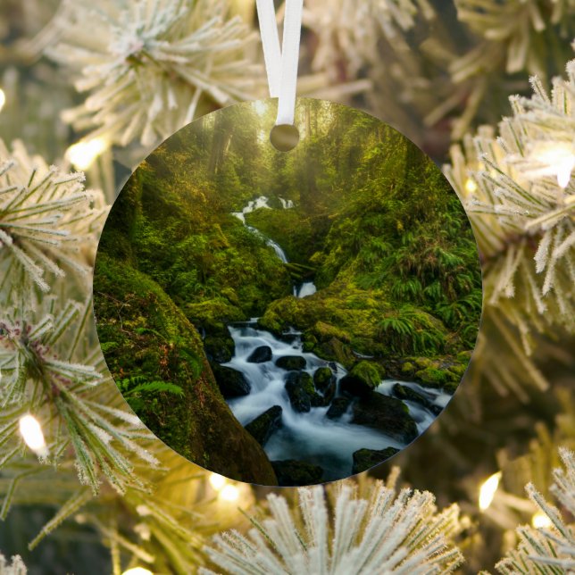 Waterfalls | Olympic National Park, Washington Metal Ornament (Insitu)