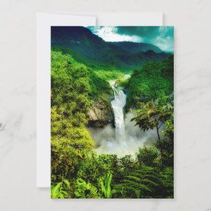 Waterfalls   San Rafael Falls, Ecuador Thank You Card