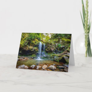 Waterfalls   Smokey Mountain National Park Card