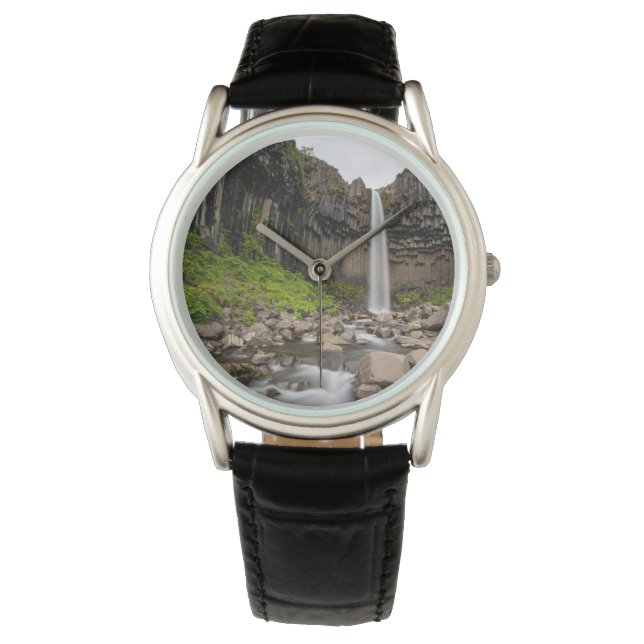 Waterfalls | Svartifoss Waterfall, South Iceland Watch (Front)