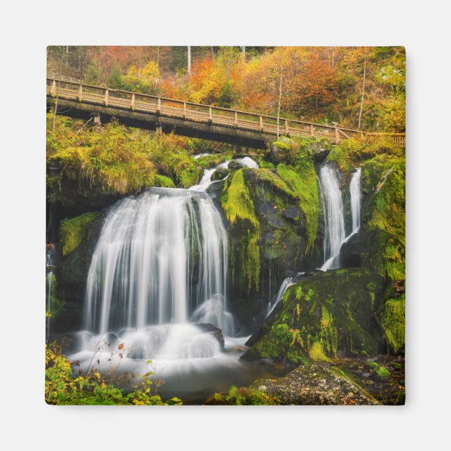 Waterfalls | Triberg Waterfalls, Germany Magnet (Front)