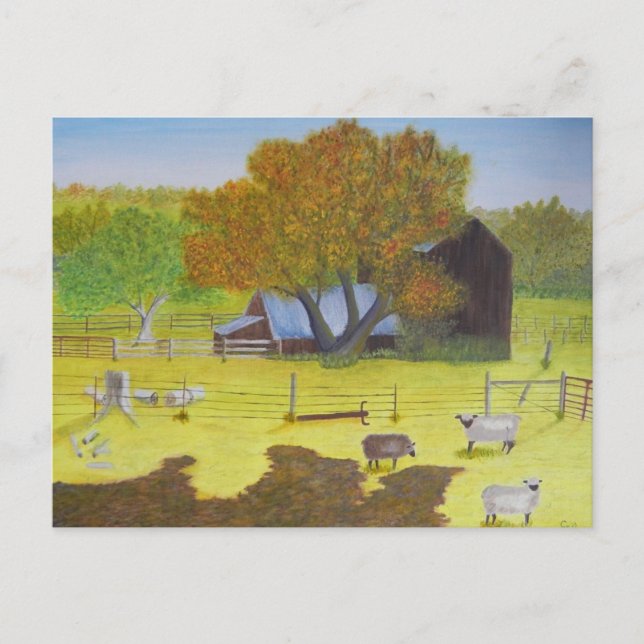 Waterford Barn & Sheep Postcard (Front)
