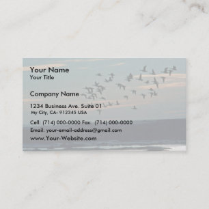Waterfowl, Arctic National Wildlife Refuge Business Card