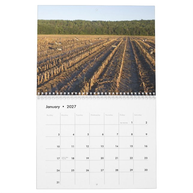 Waterfowl Hunting Calendar (Jan 2027)