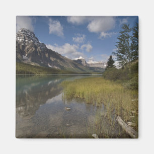 Waterfowl lake along the Icefields parkway, Magnet