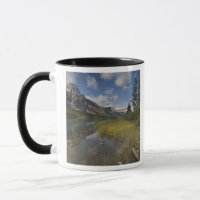 Waterfowl lake along the Icefields parkway,