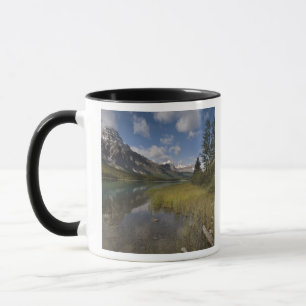 Waterfowl lake along the Icefields parkway, Mug