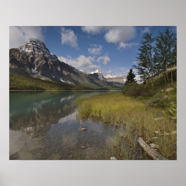 Waterfowl lake along the Icefields parkway, Poster (Front)