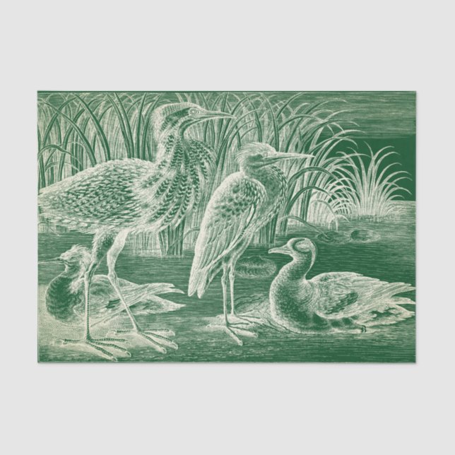 Waterfowl Tissue Paper (Front)