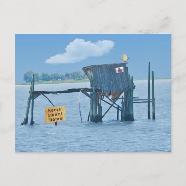 Waterfront Home Funny Postcard (Front)