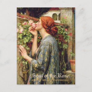 Waterhouse Soul of the Rose CC0738 Pre-Raphaelite Postcard