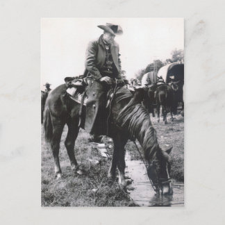 WATERING HOLE #57 POSTCARD