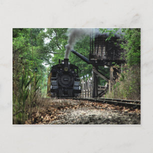 Watering Hole Postcard