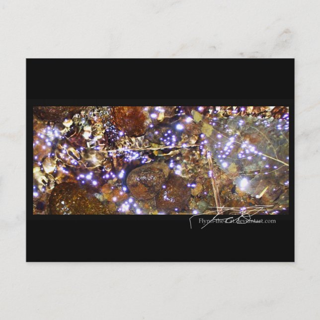 Waterlight postcard (Front)