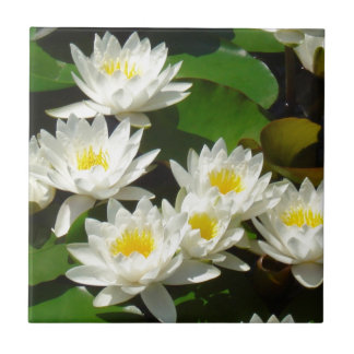 waterlilies and leaves tile