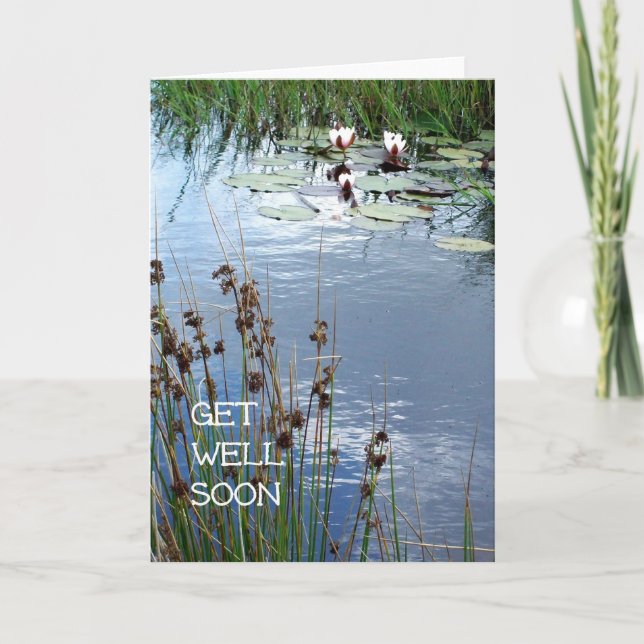 Waterlilies Get Well Soon Card (Front)