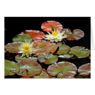 Waterlilies II