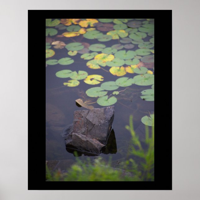 Waterlilies Photo Poster  (Front)