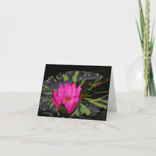 Waterlilly blank notecard