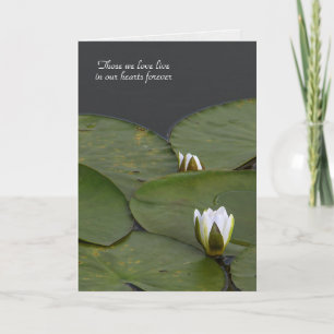waterlily bud with lily pads sympathy card