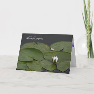 waterlily bud with lily pads sympathy card