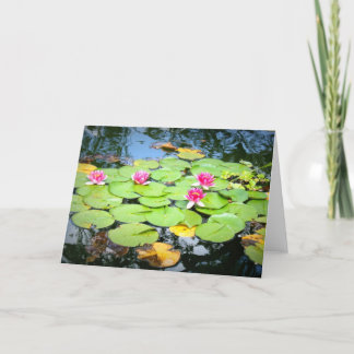 Waterlily Card