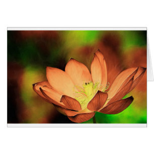 Waterlily in Oil