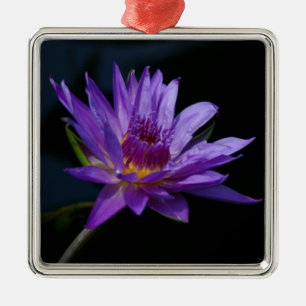 Waterlily Lotus Metal Ornament