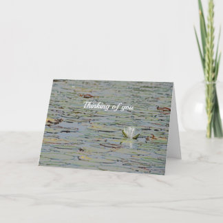 Waterlily Pond Lake Flower I Greeting Card