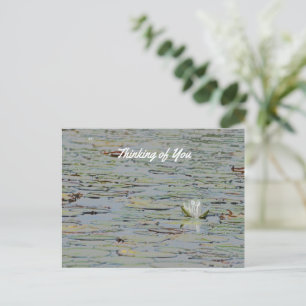 Waterlily Pond Lake Flower I Postcard