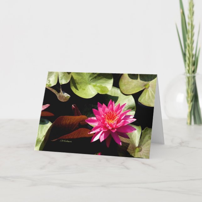 Waterlily Rose I Card (Front)