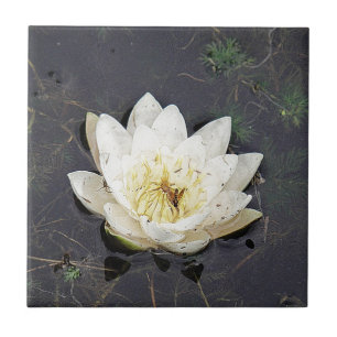 Waterlily Tile