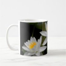 Waterlily Trio Mug