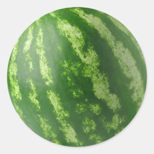 Watermelon Classic Round Sticker