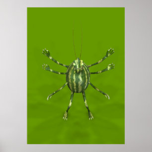 Watermelon Creeper Poster