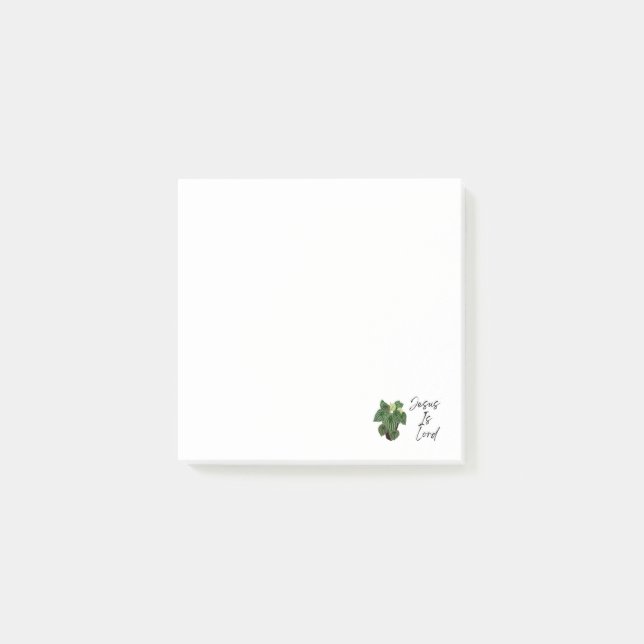 Watermelon Pepperomia Flower Post-It Notes (Front)