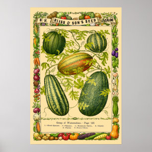 Watermelon Retro Victorian Era Botanical Art Poster