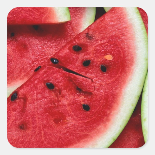 Watermelon Slices Square Sticker (Front)