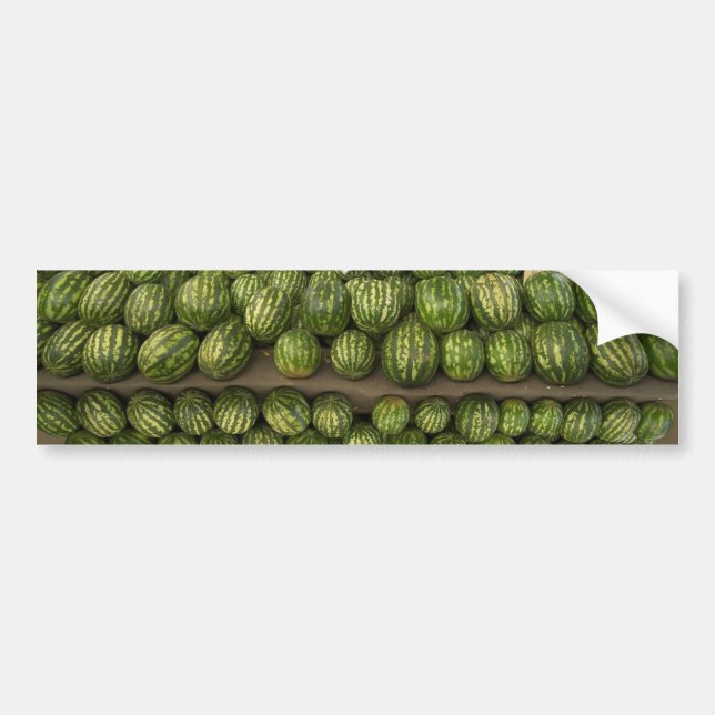 Watermelons Bumper Sticker (Front)
