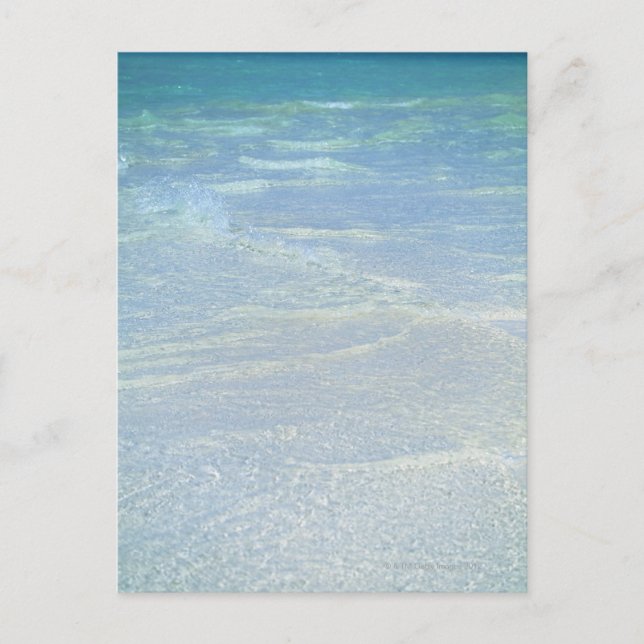 Water's edge 2 postcard (Front)