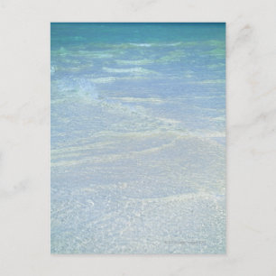 Water's edge 2 postcard