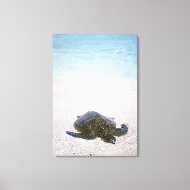 Water's edge canvas print (Front)