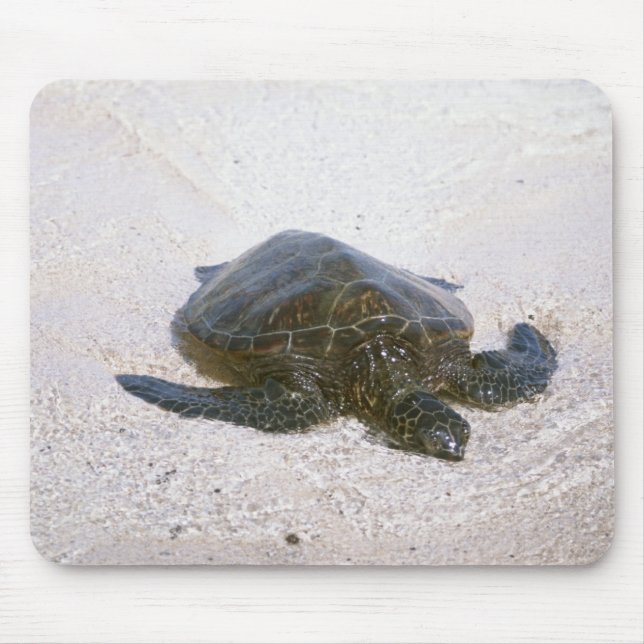 Water's edge mouse pad (Front)