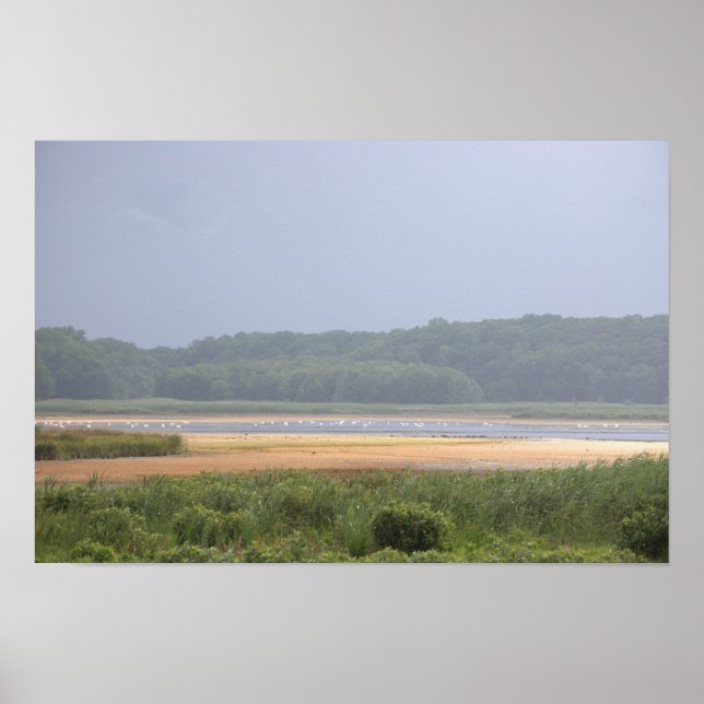 Waterscape Photo Poster  (Front)