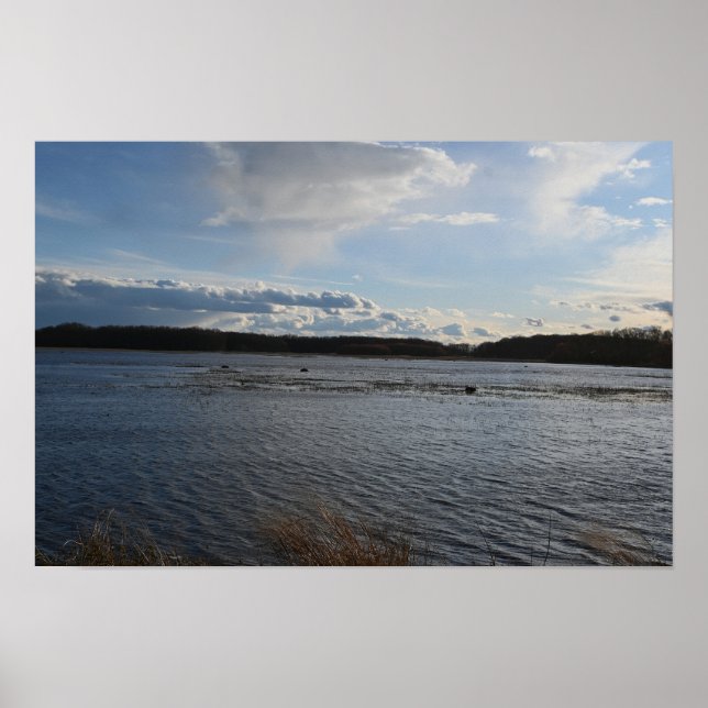 Waterscape Photo Poster (Front)