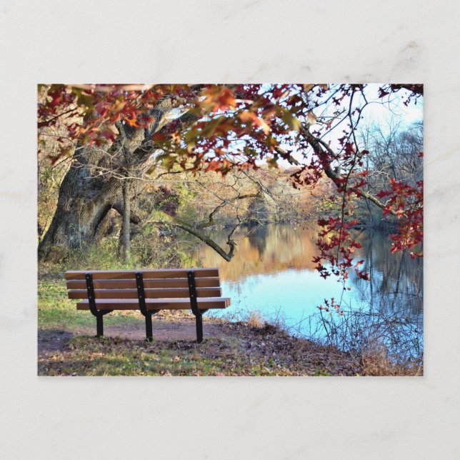 Waterscape with Bench Photo Postcard (Front)